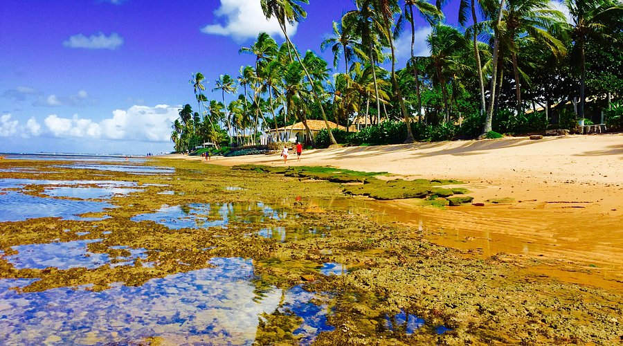 Praia do Forte