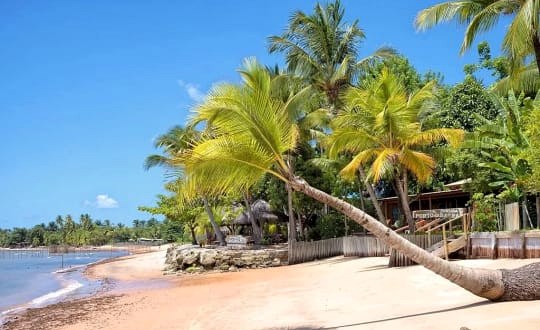Praia com coqueiros em Maraú